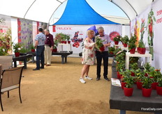 In a half circle Prudac is showcasing their varieties from small to large.